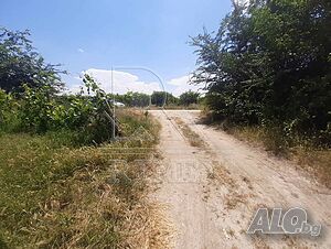 image_4