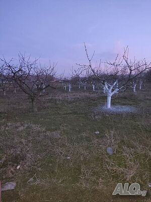 image_6