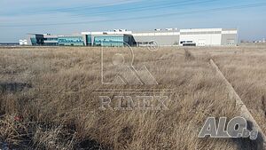 image_10