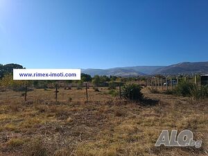 image_7