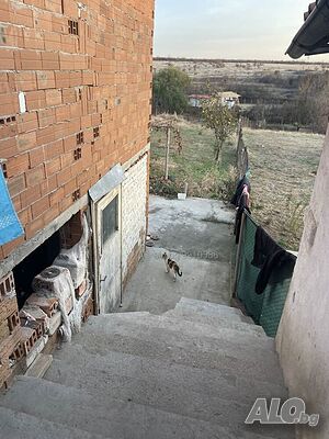 image_10