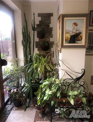 image_9