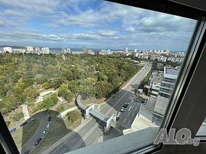 image_11