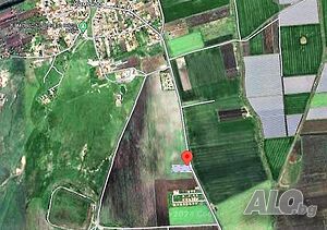 image_5