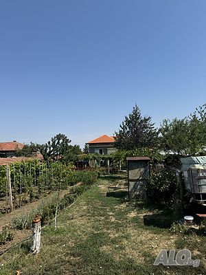 image_6