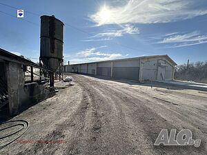 image_6