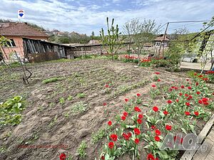 image_15