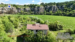 image_6