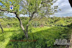 image_13