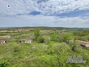 image_7