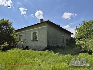 image_11