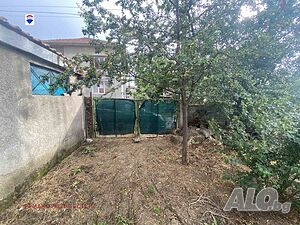 image_11