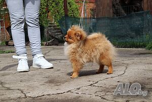 image_4