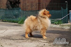 image_8