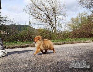 image_11