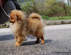 image_7