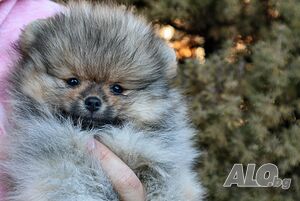 image_8