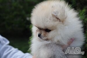 image_7