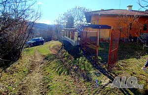 image_9
