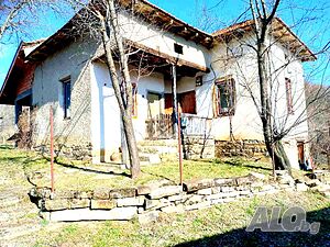 image_11