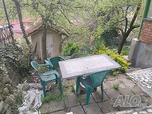 image_6