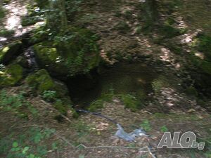 image_7