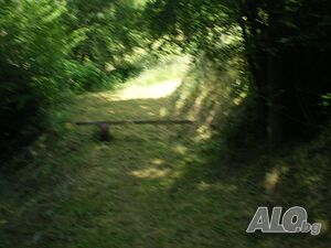 image_8