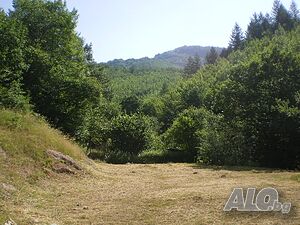 image_3