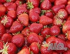 ТЪРСИ под наем СПЕШНО магазин за плодове и зеленчуци от СОБСТВЕНИК