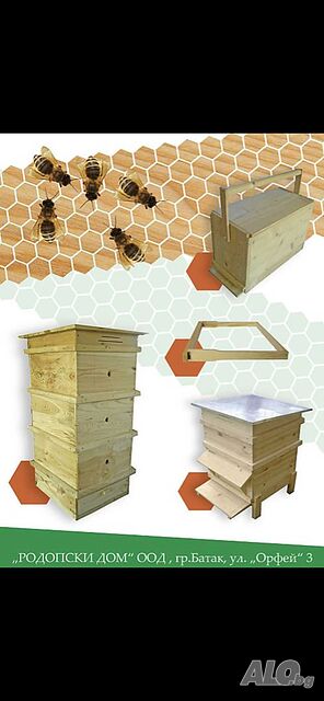 image_2