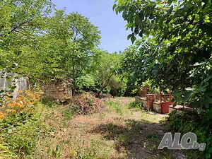 image_8