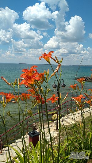 image_3