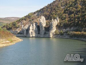 image_9