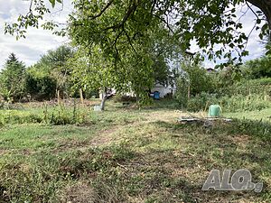 image_6