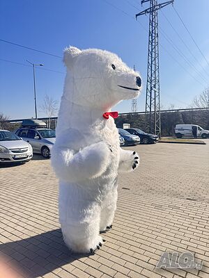 image_4