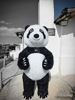 🎉ИЗНЕНАДА с Мече Панда в гр. Бургас! 🐼🐾