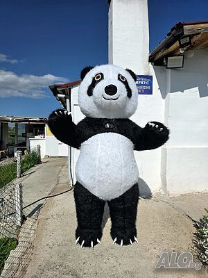 image_2