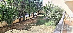 image_13
