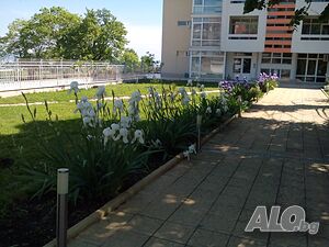 image_11