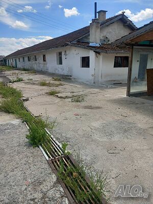 image_6