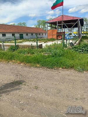 image_9