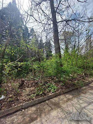 image_3