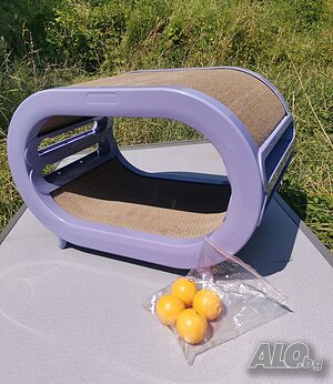 image_3