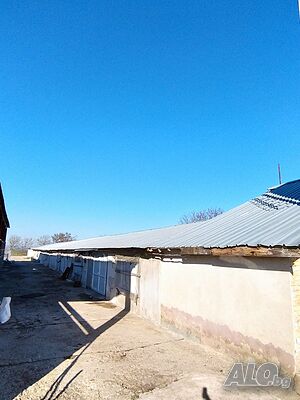 image_6