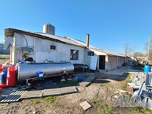 image_7