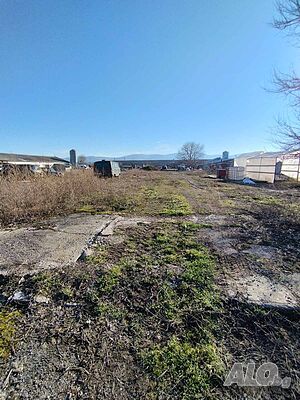 image_9