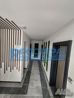 image_11