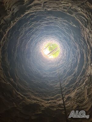 image_7