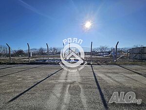 image_5