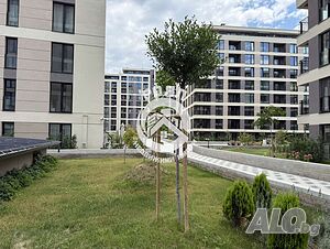 image_14